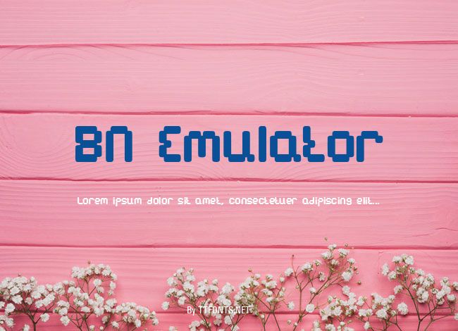 BN Emulator example